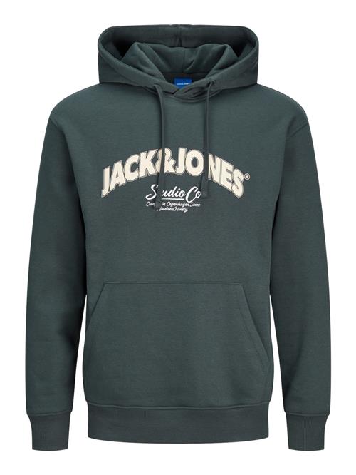 JACK & JONES Sweatshirt 'JORBRONX'  gran / uldhvid