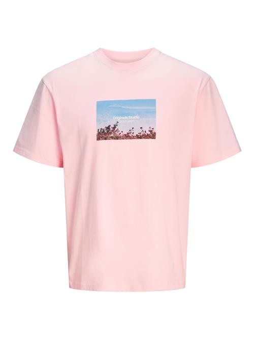 JACK & JONES Bluser & t-shirts  pastelpink