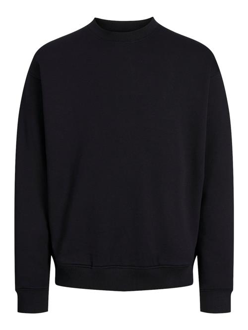 Se JACK & JONES Sweatshirt 'JPRBLABRADFORT'  sort ved About You