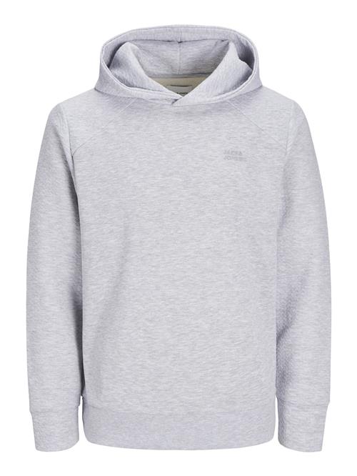 Se JACK & JONES Sweatshirt 'JJESTAPLE'  grå-meleret ved About You