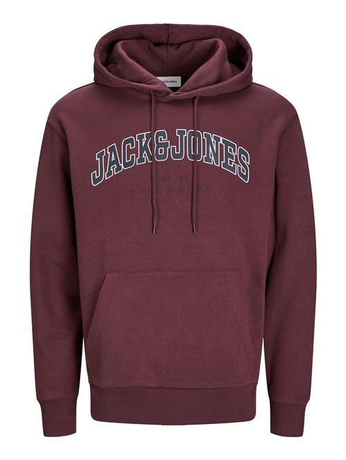 Se JACK & JONES Sweatshirt 'JJECaleb'  mørkeblå / vinrød / hvid ved About You