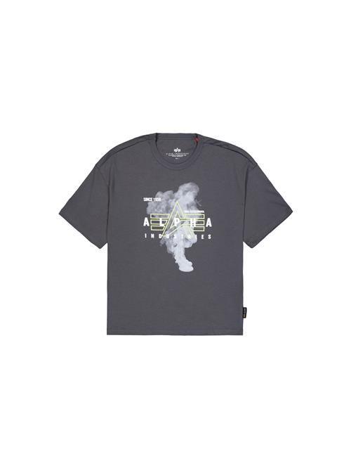 ALPHA INDUSTRIES Bluser & t-shirts  antracit