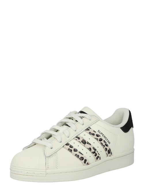 Se ADIDAS ORIGINALS Sneaker low 'Superstar'  beige / mørkebrun / sort / hvid ved About You