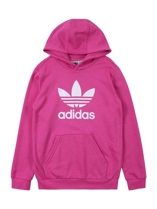 Se ADIDAS ORIGINALS Sweatshirt 'Trefoil'  pink / hvid ved About You