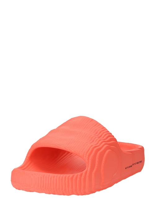 Se ADIDAS ORIGINALS Pantoletter 'Adilette 22'  melon / sort ved About You