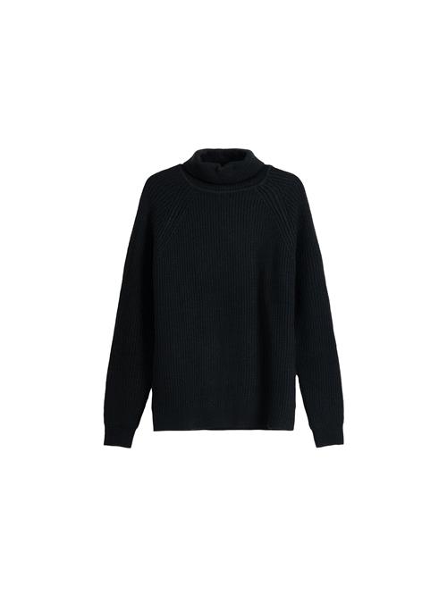 Se Bershka Pullover  sort ved About You