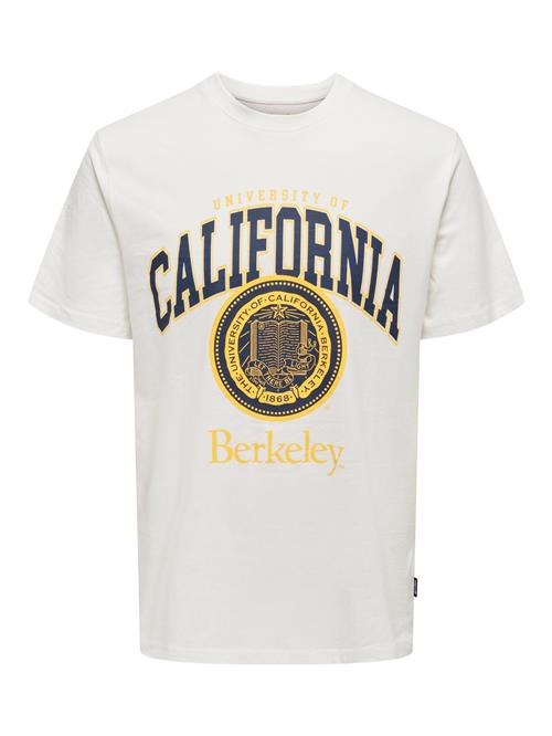 Se Only & Sons Bluser & t-shirts 'Berkeley'  navy / gul / hvid ved About You