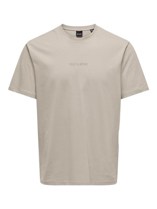 Se Only & Sons Bluser & t-shirts 'LEVI'  greige ved About You