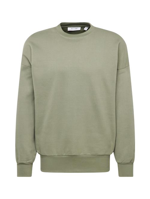 Only & Sons Sweatshirt 'ONSDAN'  mørkegrå