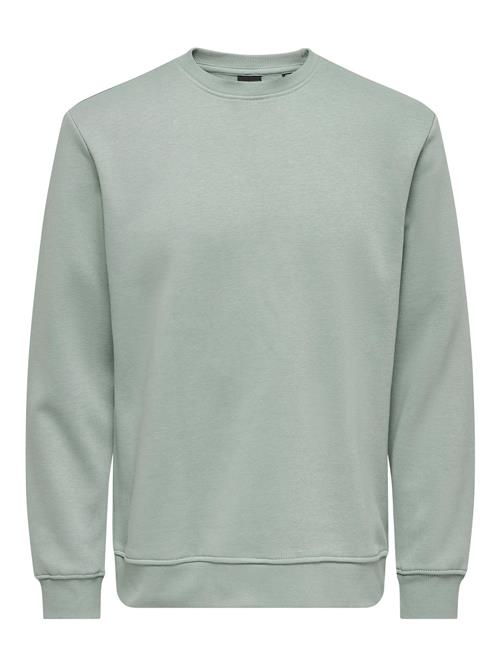 Only & Sons Sweatshirt 'ONSConnor'  pastelgrøn