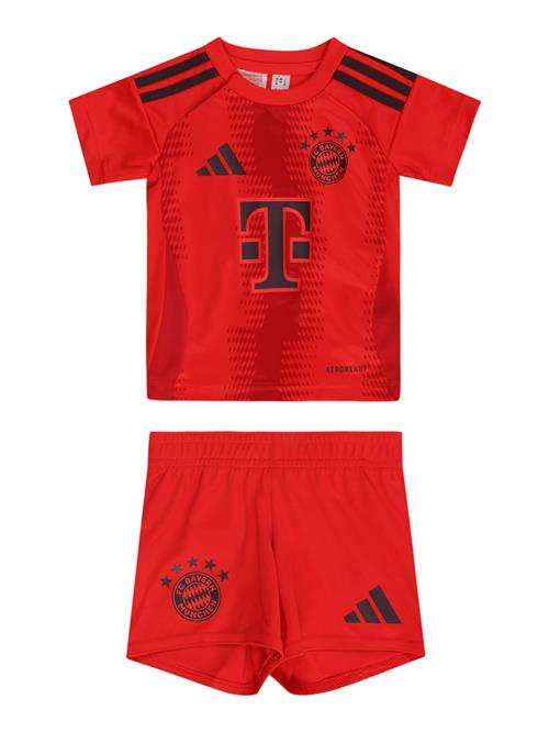 ADIDAS PERFORMANCE Træningsdragt 'FC Bayern München Home'  bordeaux / brandrød / sort