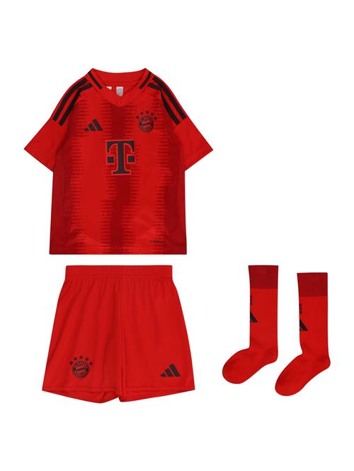 ADIDAS PERFORMANCE Træningsdragt 'FC Bayern München Home 24-25'  rød / sort