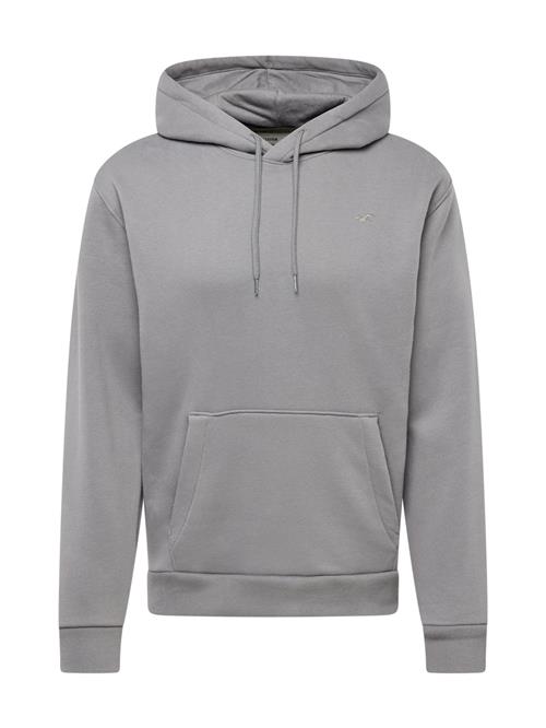 HOLLISTER Sweatshirt  grå