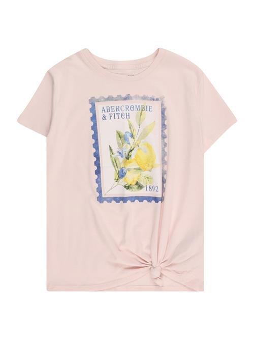 Abercrombie & Fitch Bluser & t-shirts  navy / citron / oliven / gammelrosa