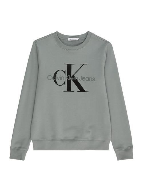 Calvin Klein Jeans Sweatshirt  grå / sort