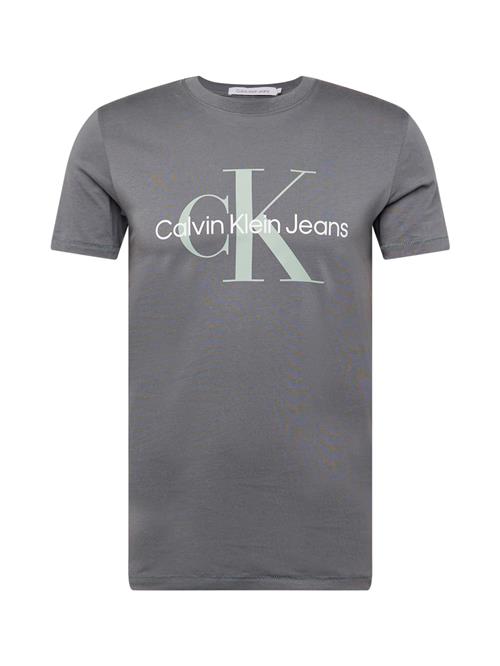 Calvin Klein Jeans Bluser & t-shirts  mørkegrå / mint / hvid