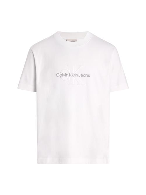 Calvin Klein Jeans Bluser & t-shirts 'Chenille'  grå / hvid