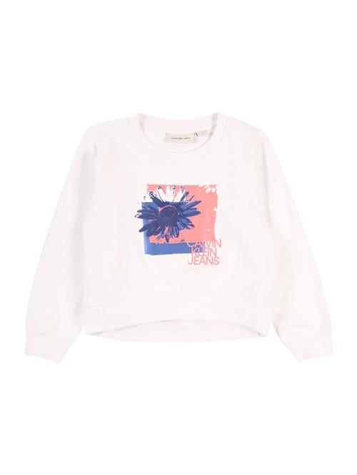 Se Calvin Klein Jeans Sweatshirt  mørkeblå / lys pink / hvid ved About You