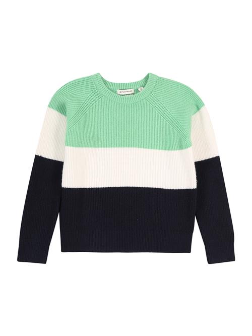 TOM TAILOR Pullover  mint / sort / hvid