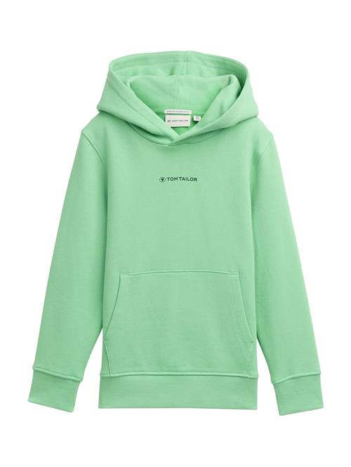 TOM TAILOR Sweatshirt  marin / mint