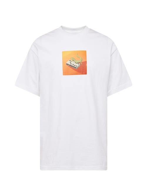 HUF Bluser & t-shirts 'Gecko'  grøn / orange / hummer / hvid