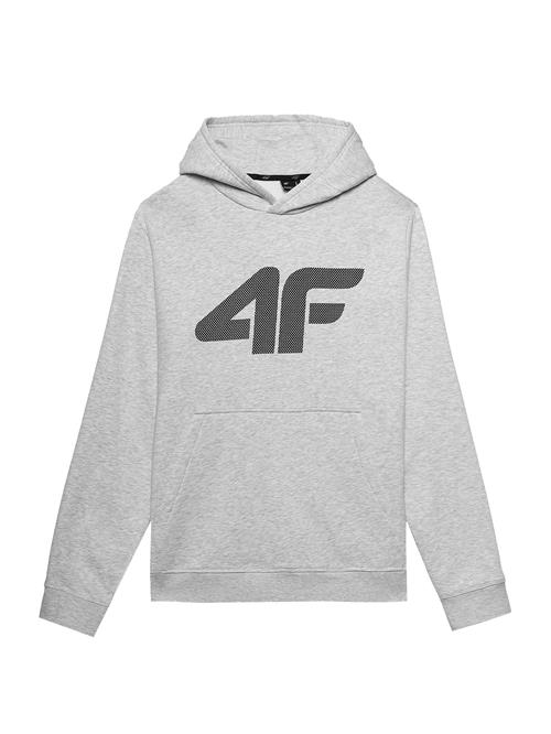 4F Sportsweatshirt  antracit / lysegrå