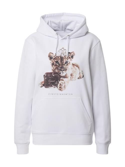 EINSTEIN & NEWTON Sweatshirt  beige / brun / hvid