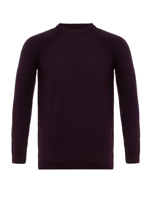 Antioch Pullover  brombær