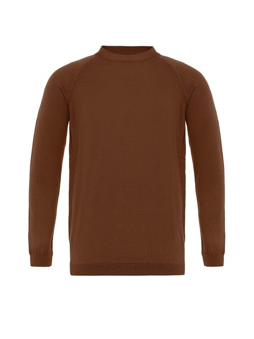 Antioch Pullover  brun