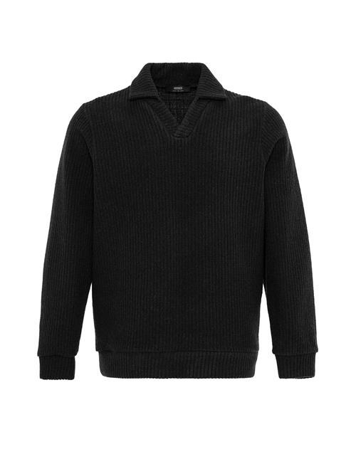 Se Antioch Pullover  sort ved About You