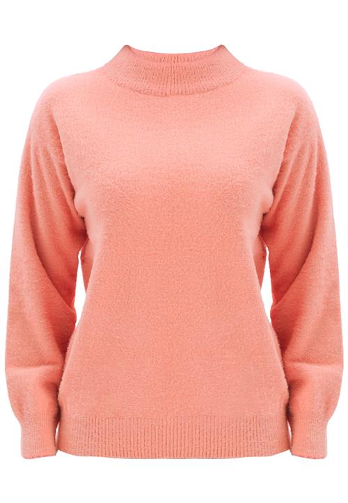 Giorgio di Mare Pullover  pink