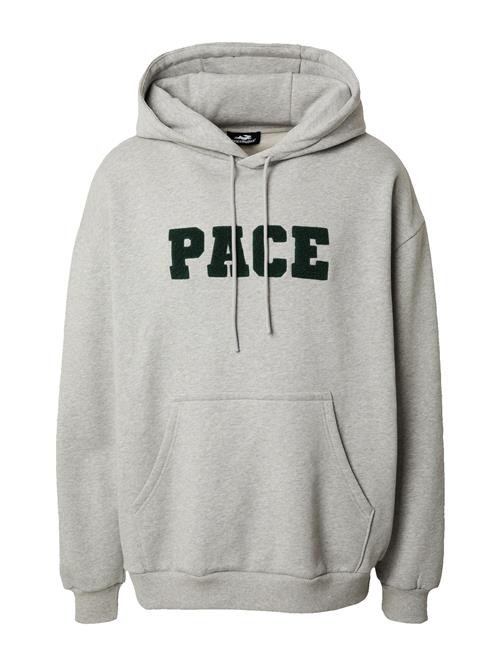 Pacemaker Sweatshirt 'Lennox'  grå-meleret / mørkegrøn