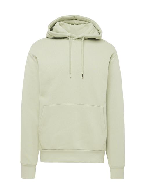 SELECTED HOMME Sweatshirt 'DAN'  pastelgrøn