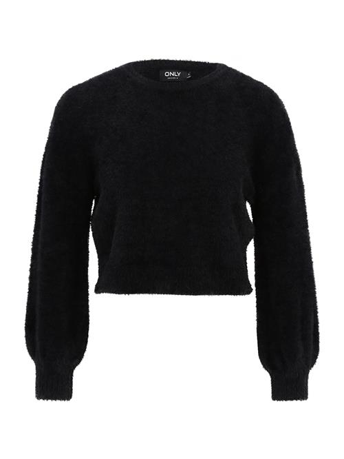 Only Petite Pullover 'ONLPIUMO'  sort