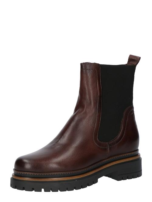 MJUS Chelsea Boots 'DEREK'  choko / sort