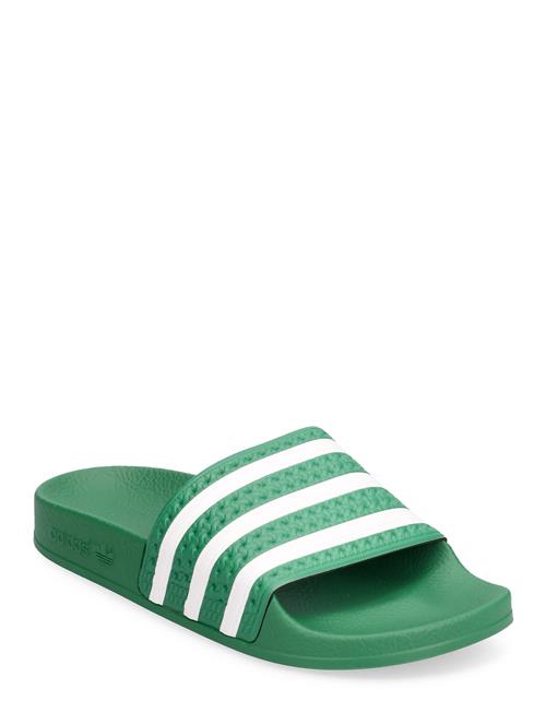 Se adidas Originals Adilette W Adidas Originals Green ved Booztlet