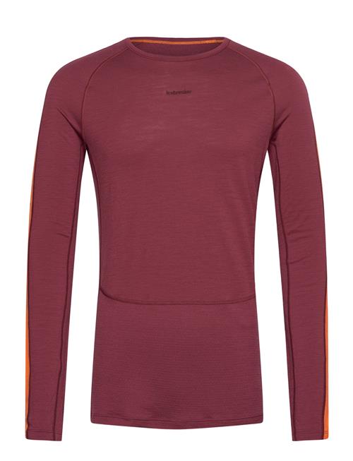 Icebreaker M Z Knit 200 Ls Crewe Icebreaker Burgundy