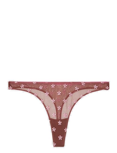 Lace Satin Thong Understatement Underwear Brown