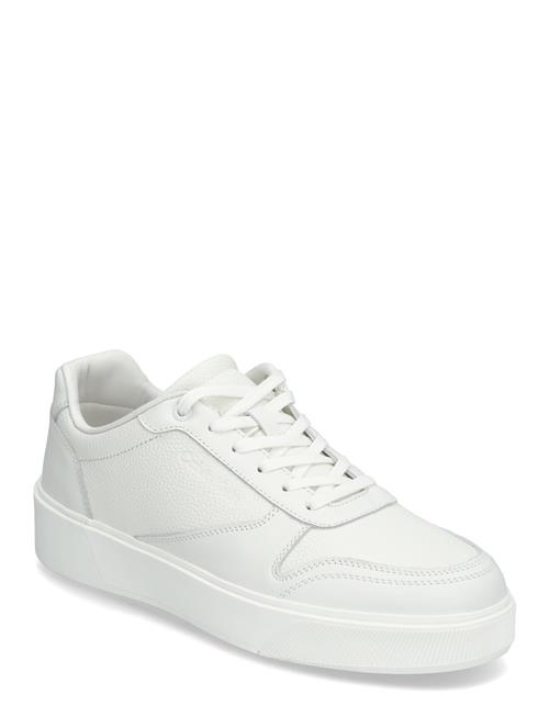 Calvin Klein Low Top Lace Up Bskt Lth Calvin Klein White