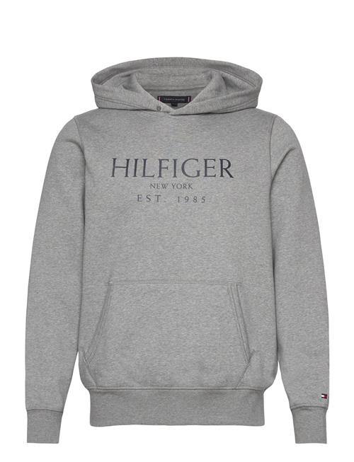 Se Tommy Hilfiger Big Hilfiger Hoody Tommy Hilfiger Grey ved Booztlet