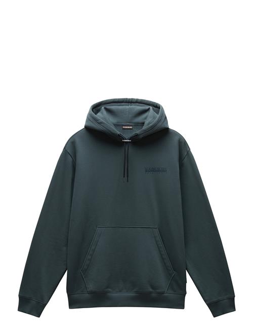 Napapijri Albula Hoodie Napapijri Green