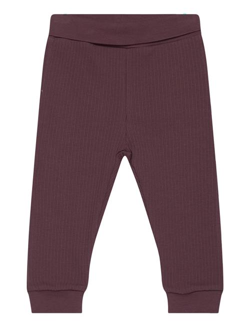 Se Fixoni Pants Rib Fixoni Burgundy ved Booztlet