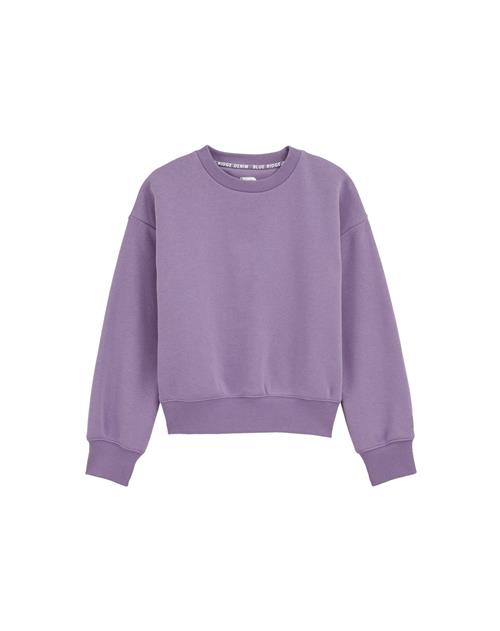 Se WE Fashion Sweatshirt  lilla ved About You