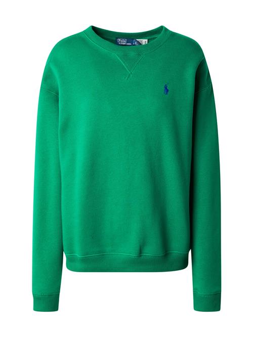 Polo Ralph Lauren Sweatshirt  siv