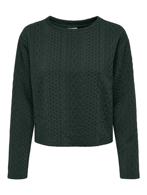 JDY Sweatshirt 'FIOLA'  mørkegrøn