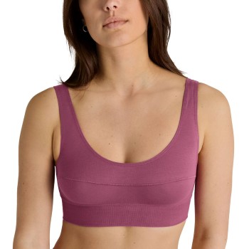 Calida Bh Elastic Top Gammelrosa bomuld Small Dame