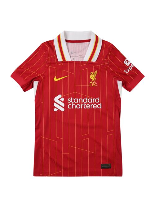 Se NIKE Funktionsskjorte 'LFC Y DFADVMATCH'  gul / rød / hvid ved About You