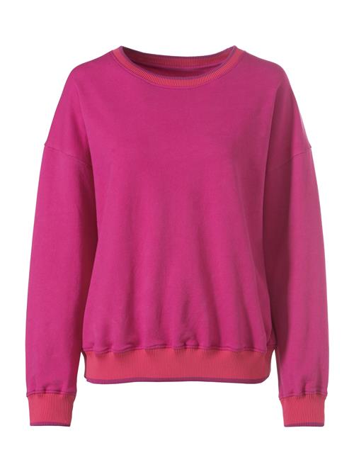 Se heine Sweatshirt  fuchsia ved About You