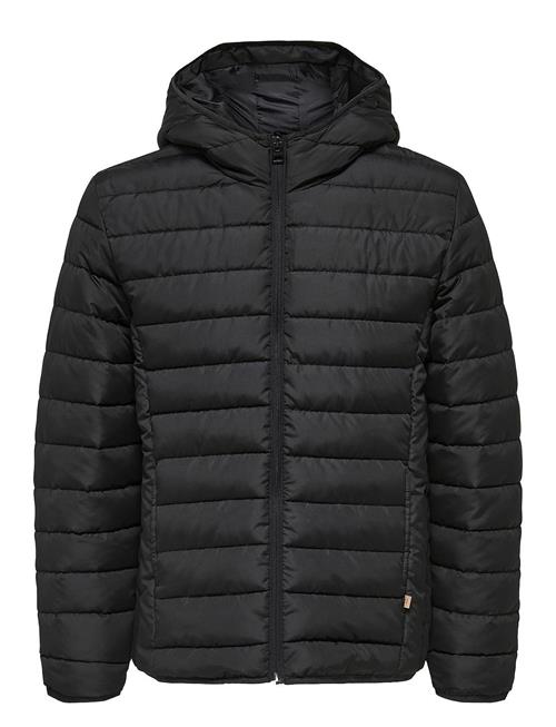 ONLY & SONS Onsbrody Quilt Hood Jacket Otw Vd ONLY & SONS Black