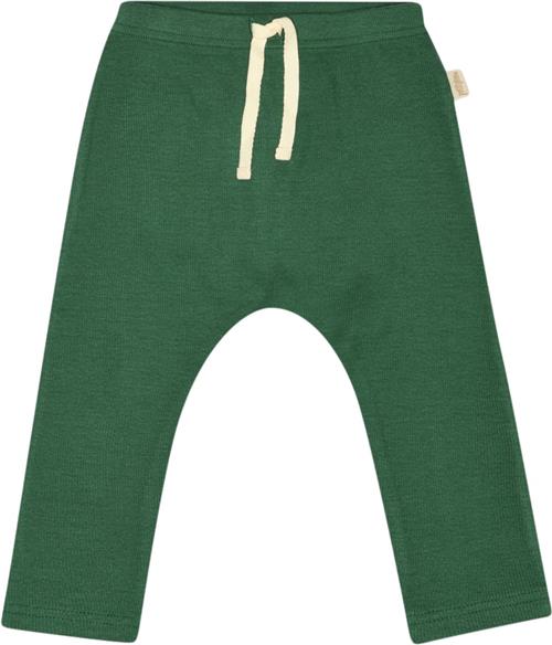 PETIT PIAO Pants Modal Str 80 cm - Emerald Green Bukser Bomuld hos Magasin